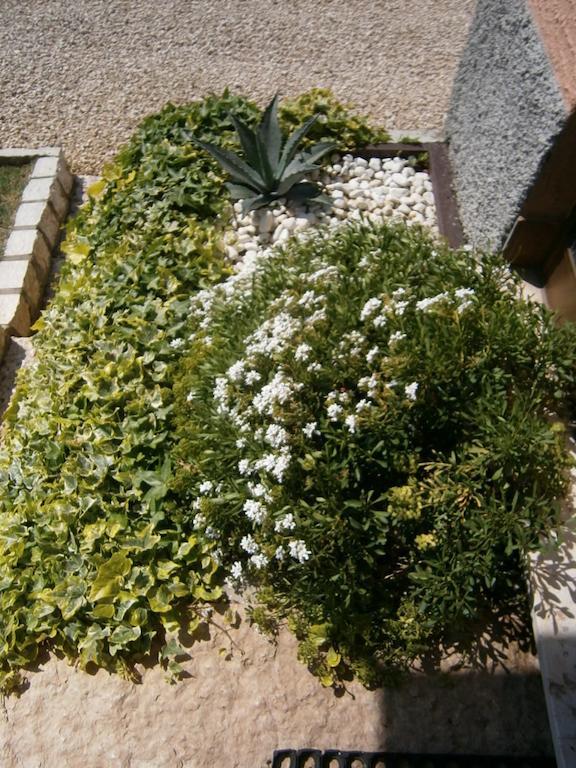 B&B Carmen Biondani Pescantina Dış mekan fotoğraf